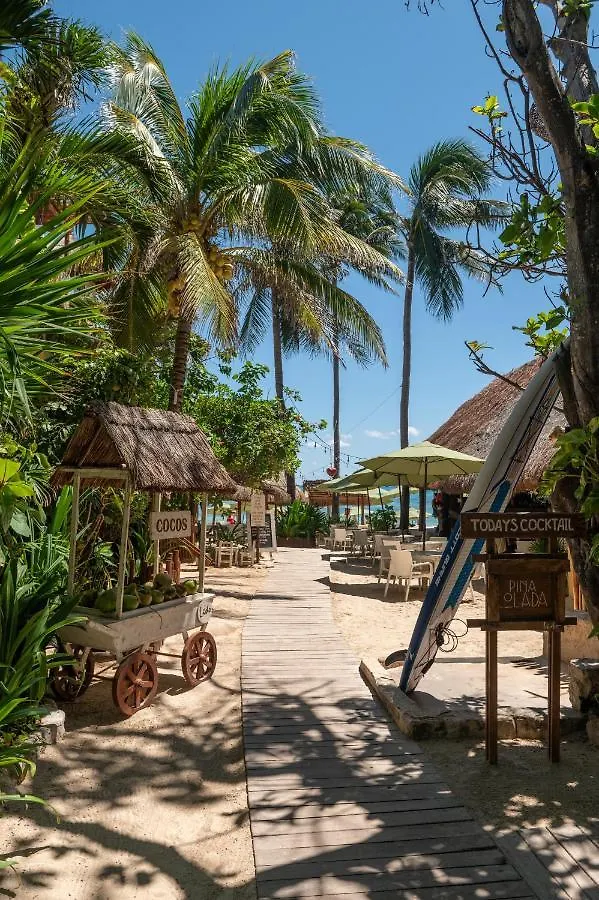 Hotel Casa Colibri Playa del Carmen