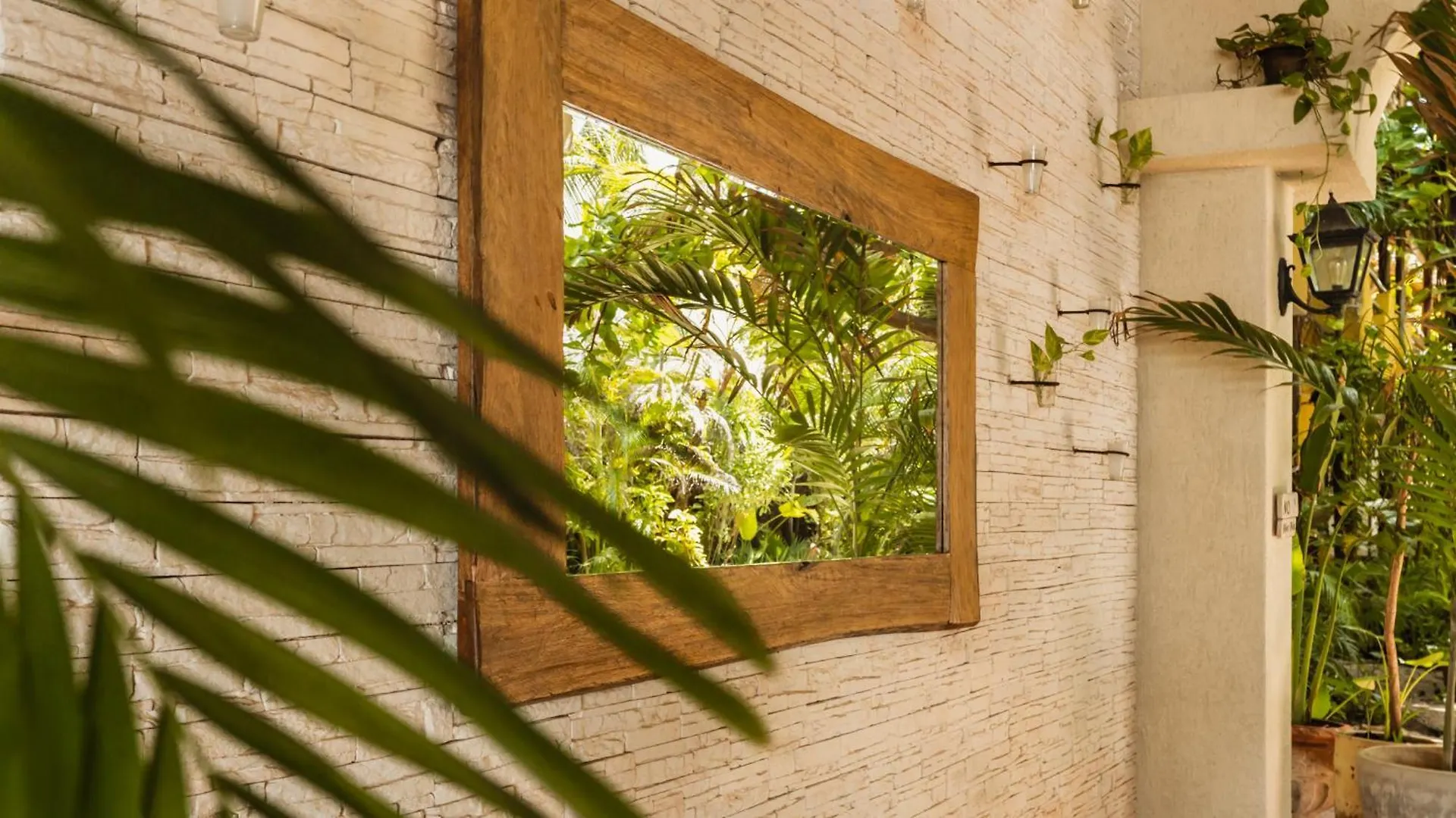 Hotel Casa Colibri Playa del Carmen