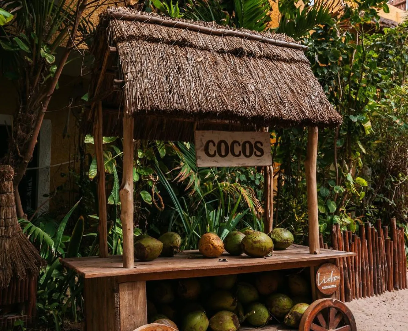 Hotel Casa Colibri Playa del Carmen