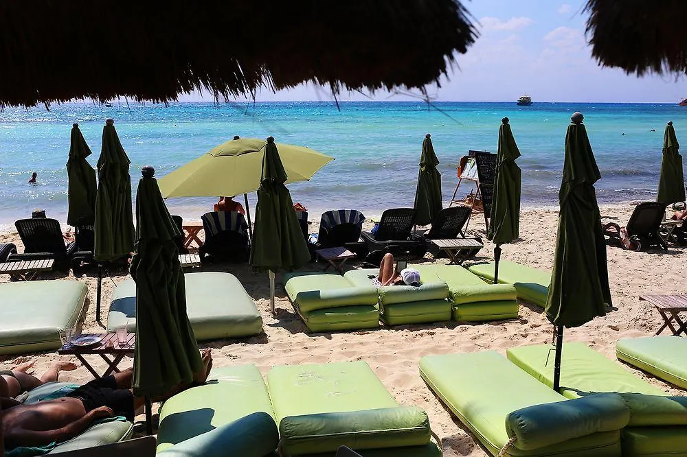 Hotel Casa Colibri Playa del Carmen