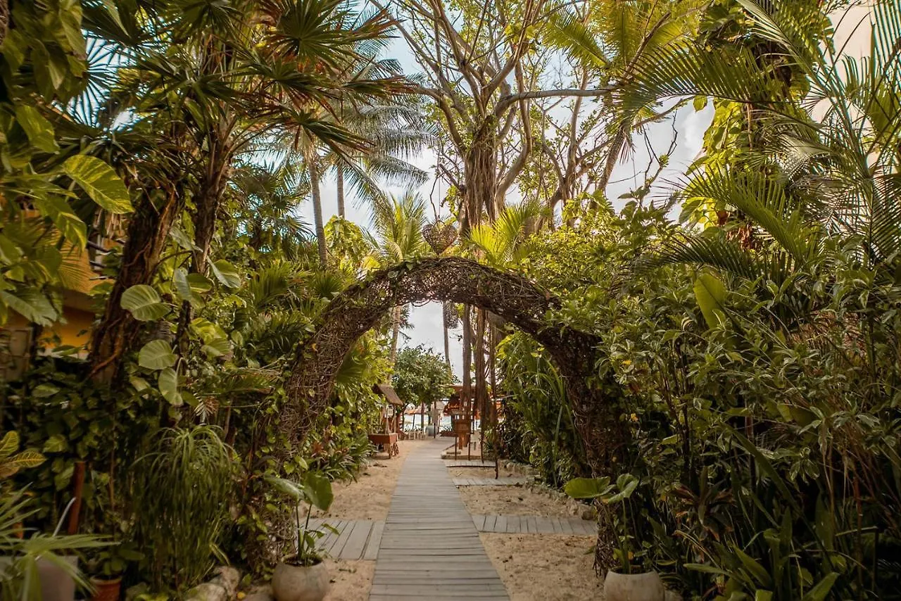 Hotel Casa Colibri Playa del Carmen