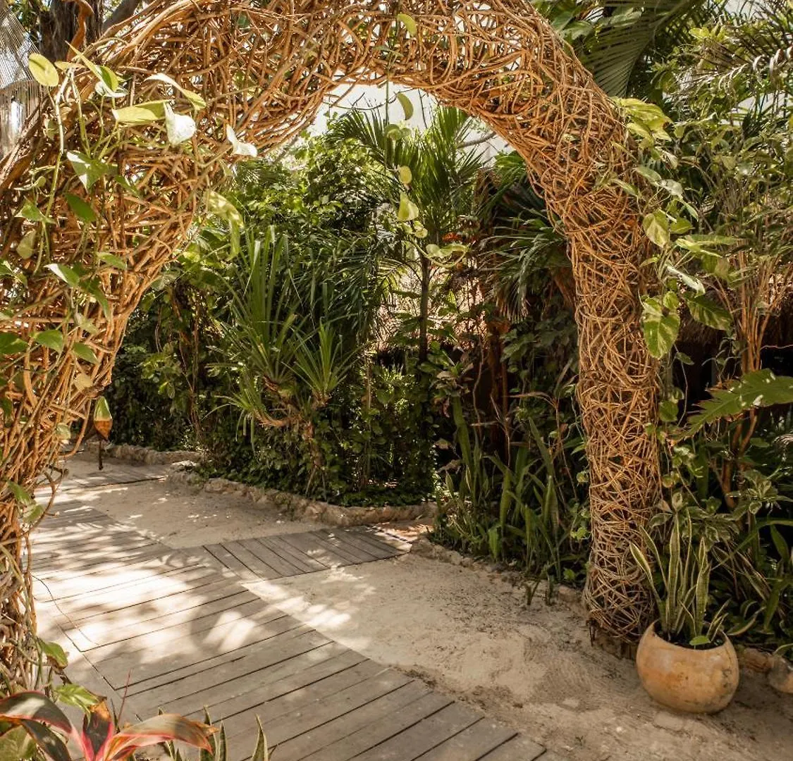 Hotel Casa Colibri Playa del Carmen 4*,