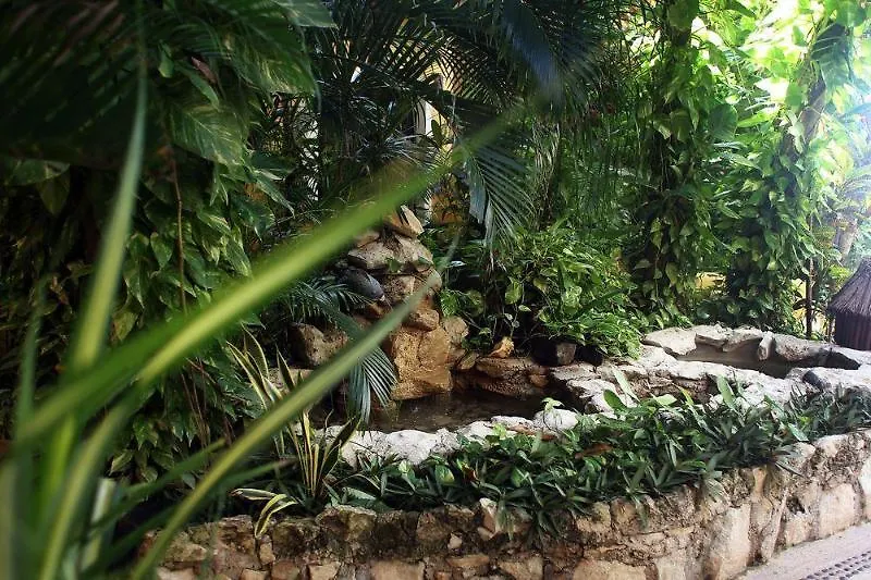 Hotel Casa Colibri Playa del Carmen